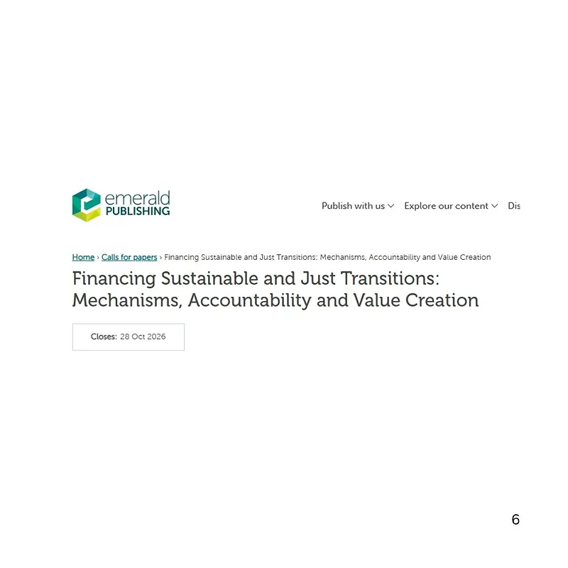 Advancing Sustainable and Just Transitions through Financial Mechanisms and Accountability