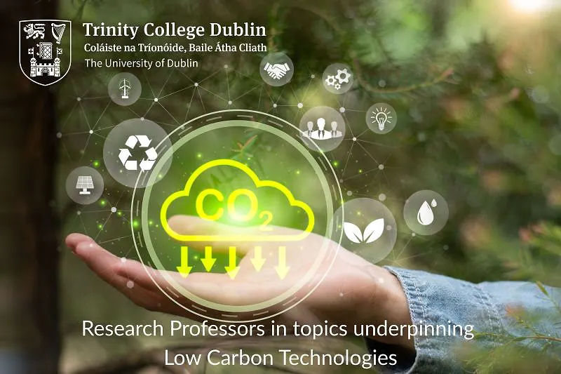 Research Professor in Low Carbon Technologies | University of Dublin