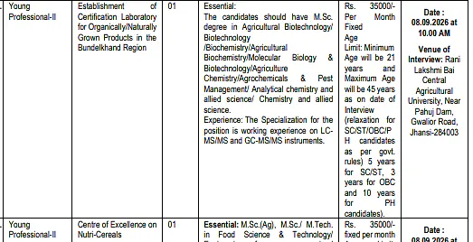 Young Professional-II Recruitment 2026 at RLBCAU Jhansi – Contractual Walk-in Positions
