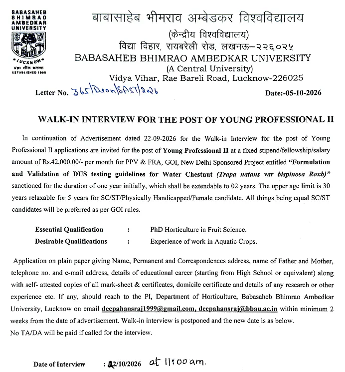 Young Professional II Recruitment 2026 at Babasaheb Bhimrao Ambedkar University, Lucknow – Walk-in Interview
