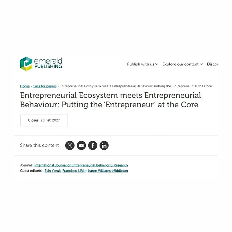 Entrepreneurial Ecosystem Meets Entrepreneurial Behaviour: Putting the ‘Entrepreneur’ at the Core