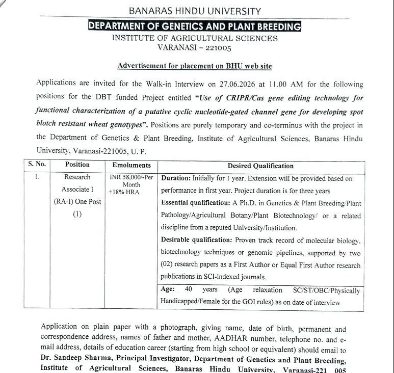 Research Associate-I (RA-I) Recruitment 2026 – Banaras Hindu University (BHU)
