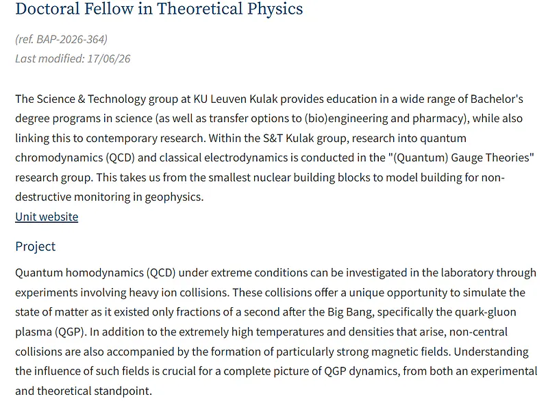Doctoral Fellowship in Theoretical Physics at KU Leuven, Belgium