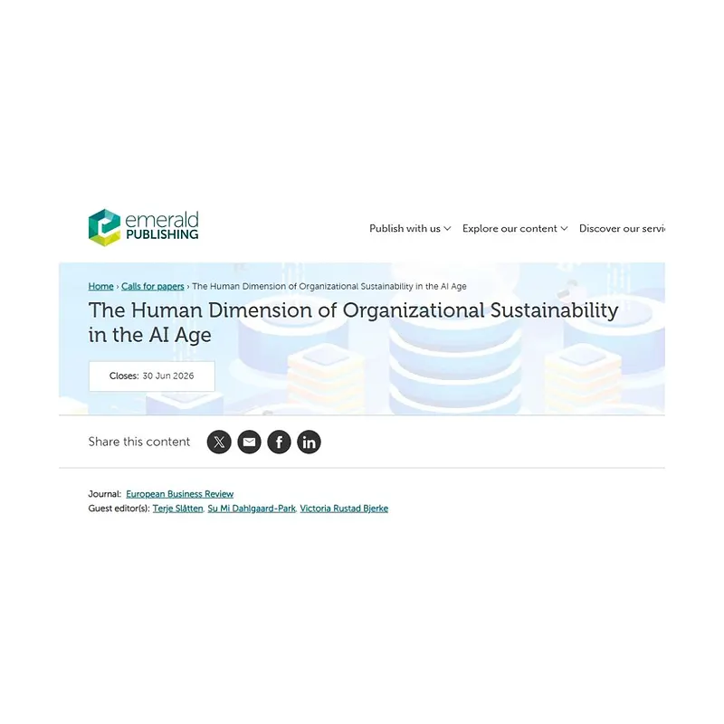 The Human Dimension of Organizational Sustainability in the AI Age